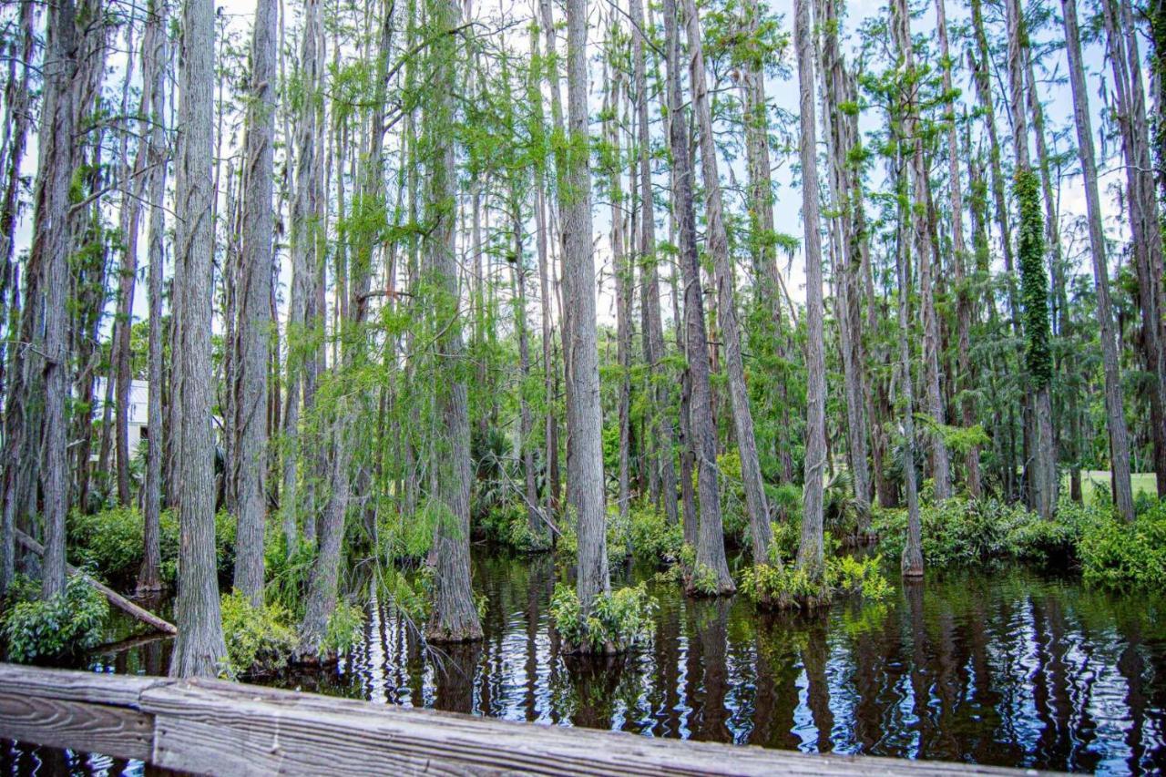 Serene Hideaway Wesley Chapel Bagian luar foto