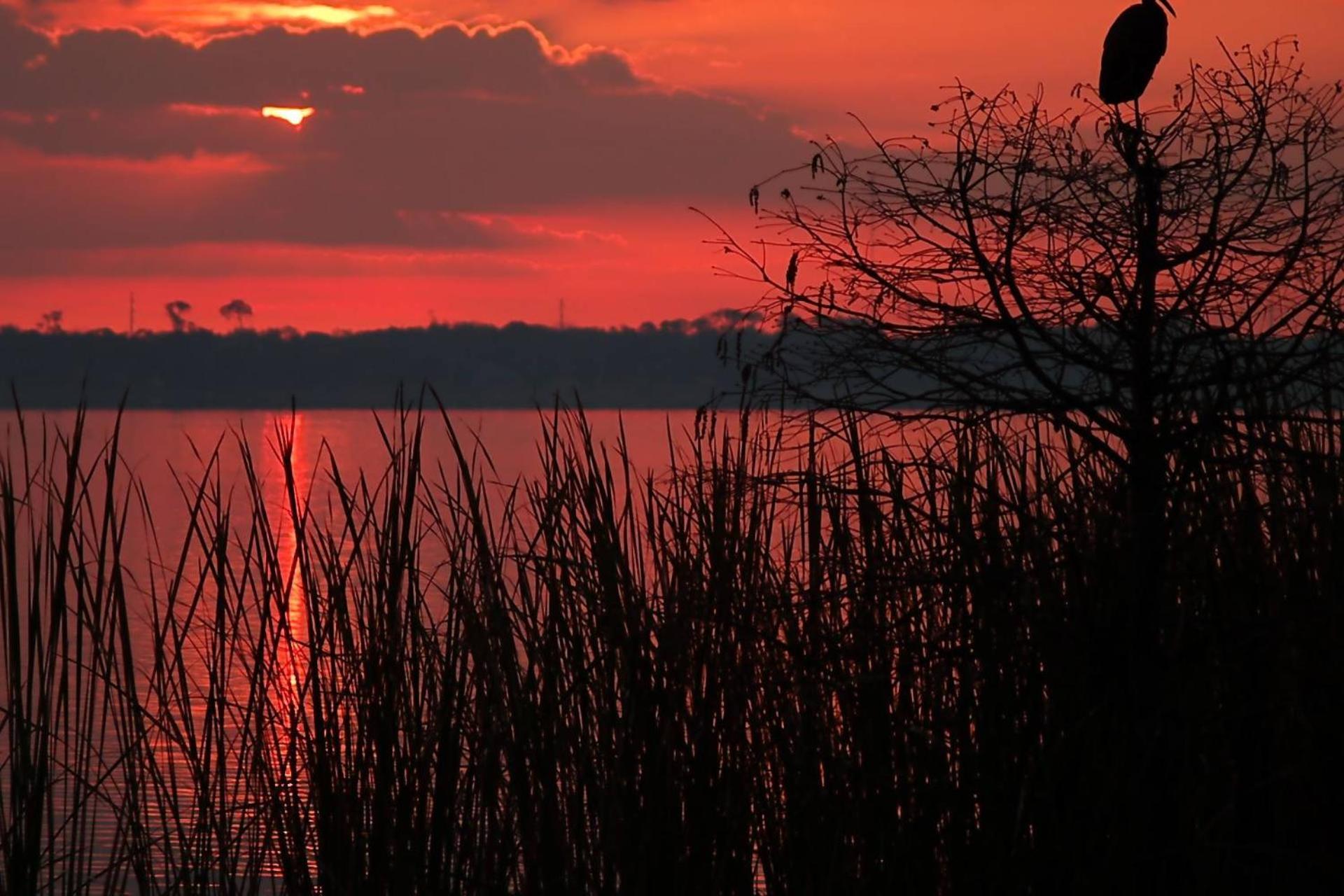 Serene Hideaway Wesley Chapel Bagian luar foto