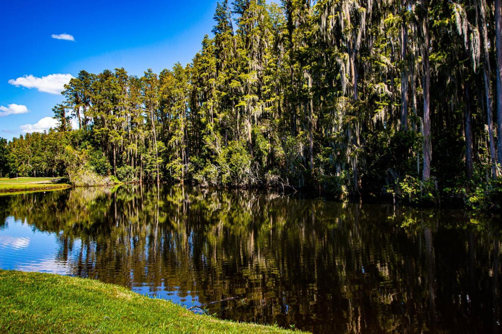 Serene Hideaway Wesley Chapel Bagian luar foto